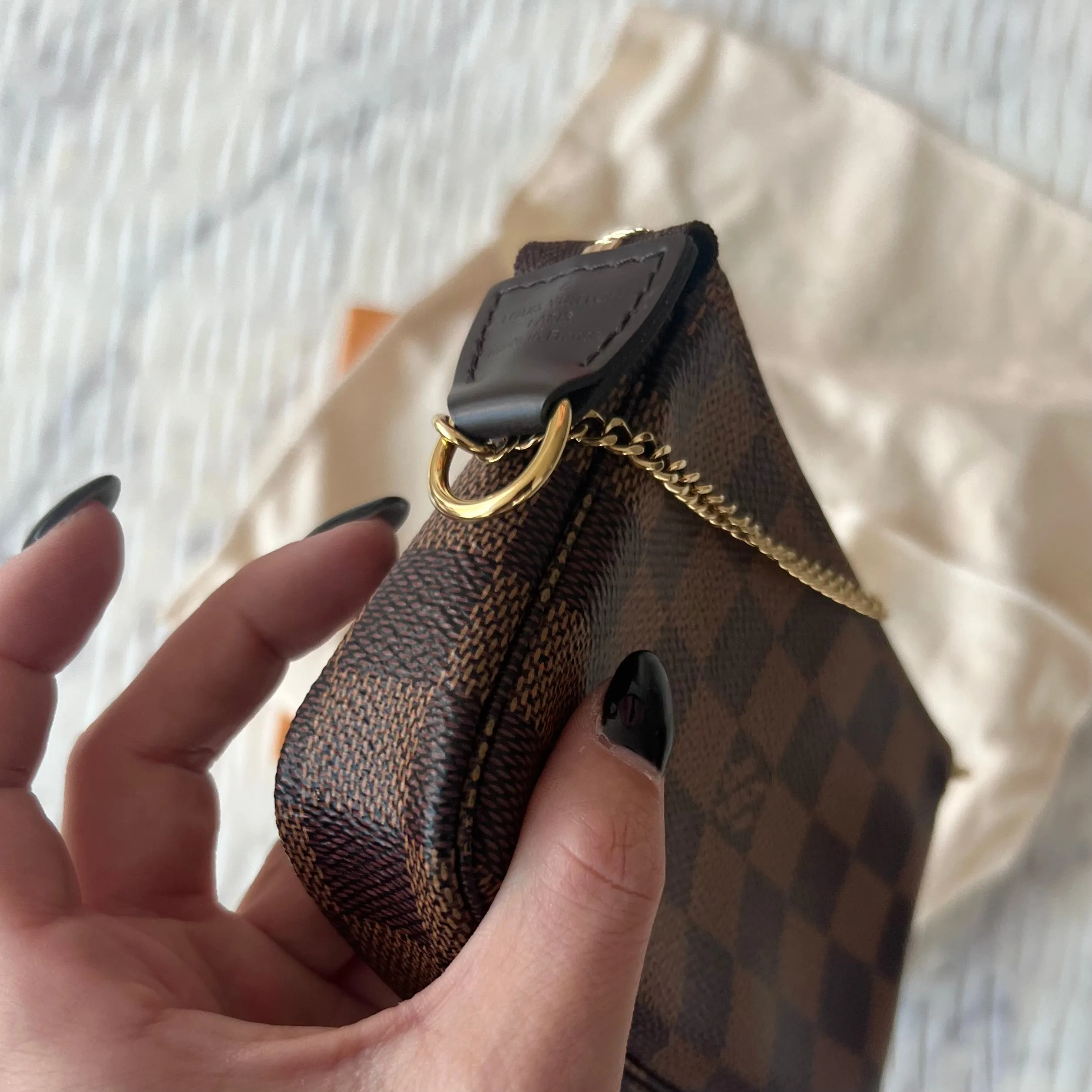 Louis Vuitton Mini Pochette Bag